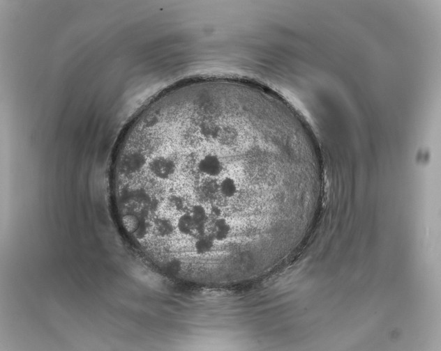 X0000089970487200707202014