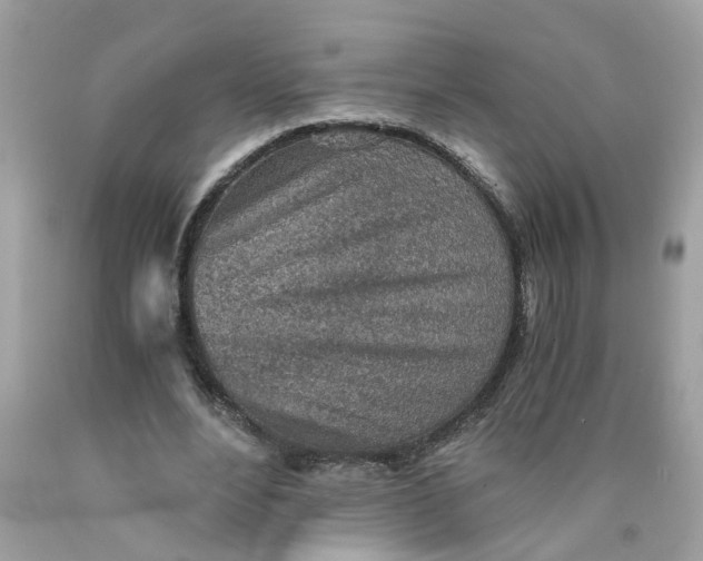 X0000089970488200707202014