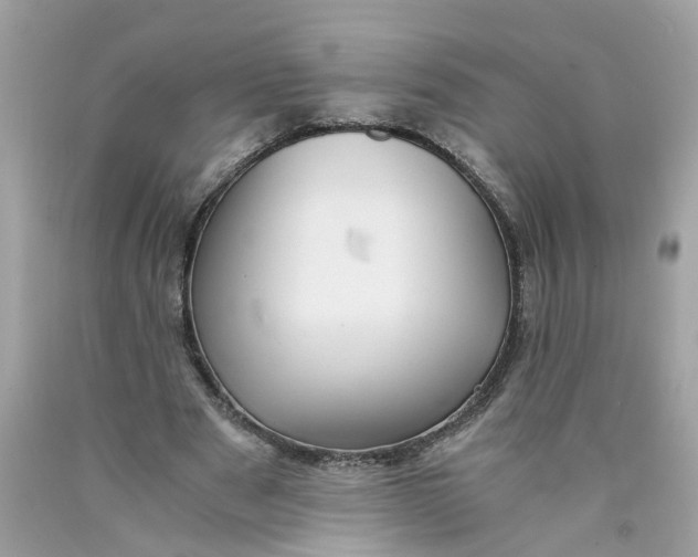 X0000089970489200707202014