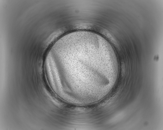 X0000089970490200707202014