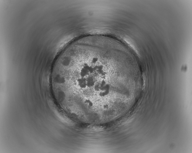 X0000089970491200707202014