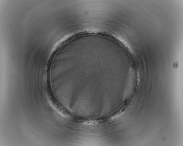 X0000089970492200707202014