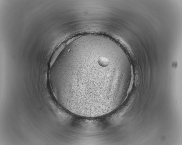 X0000089970493200707202014