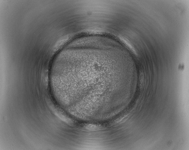 X0000089970494200707202014