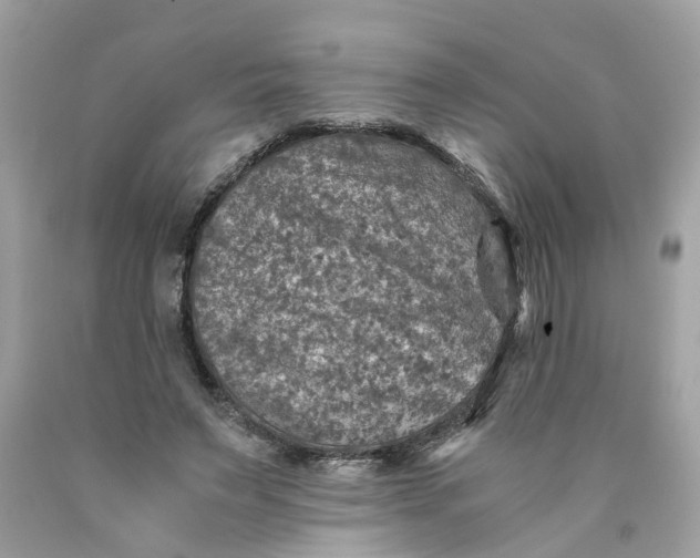 X0000089970495200707202014