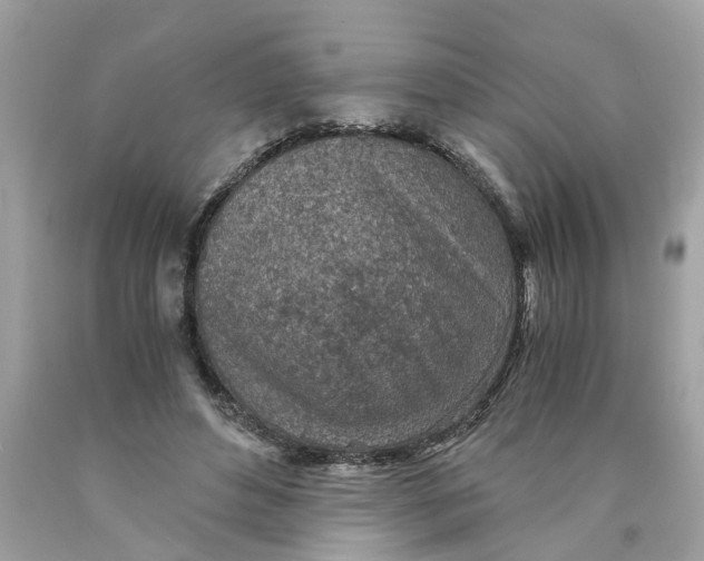 X0000089970496200707202014