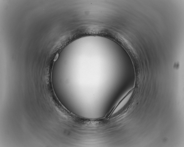 X0000089970497200707202014