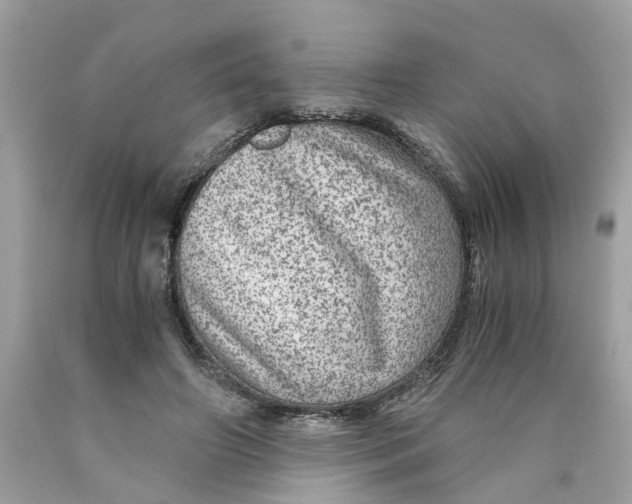 X0000089970498200707202014