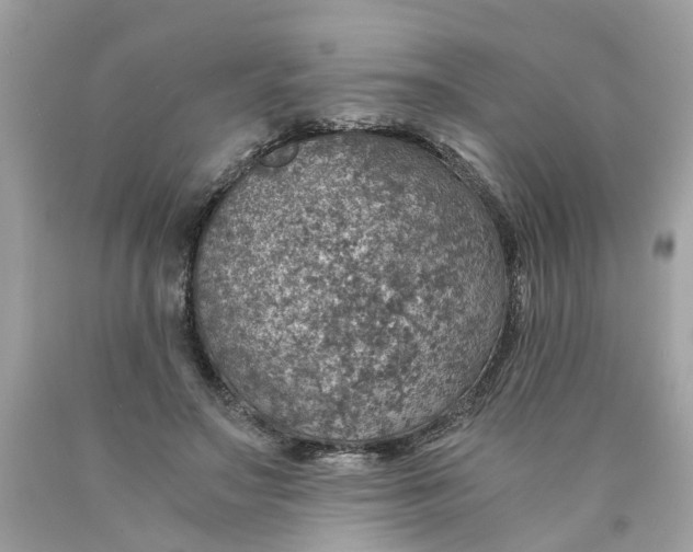 X0000089970499200707202014