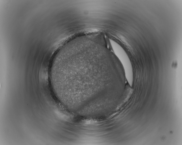 X0000089970500200707202014