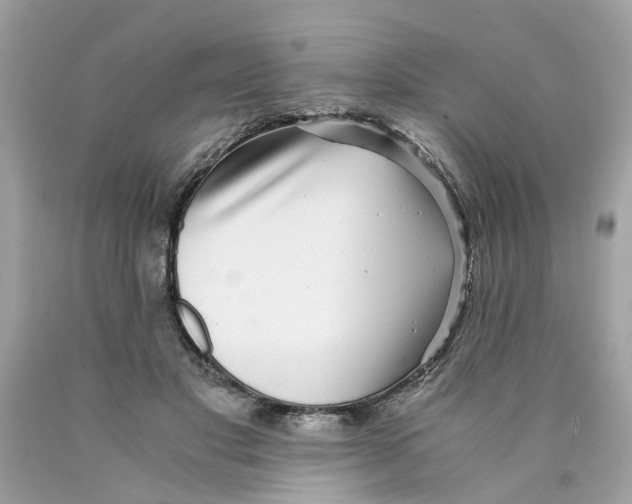 X0000089970501200707202014