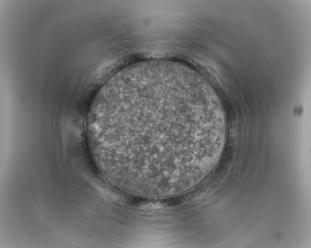 X0000089970503200707202014