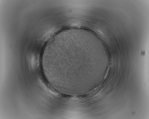 X0000089970504200707202014