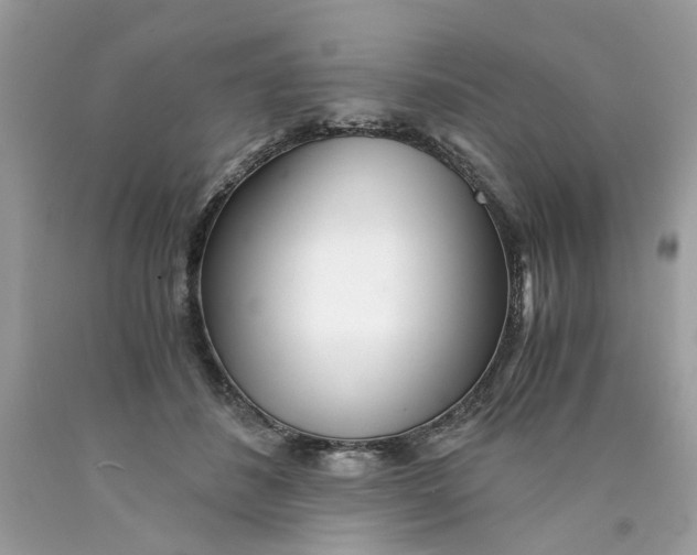 X0000089970508200707202013