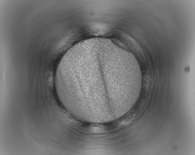 X0000089970510200707202013