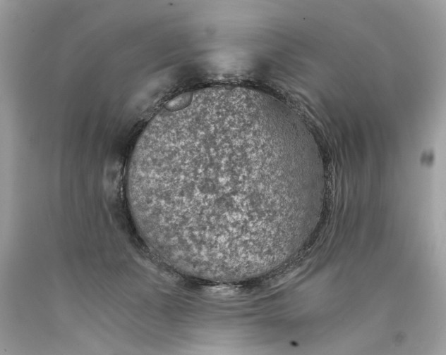 X0000089970511200707202013