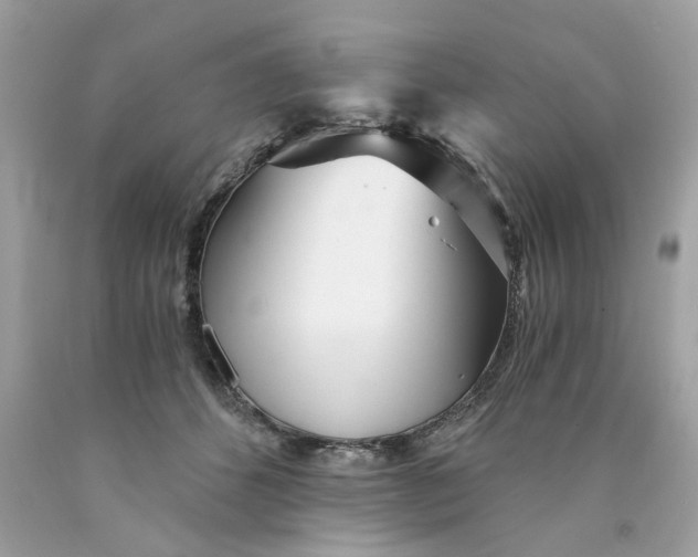 X0000089970512200707202013