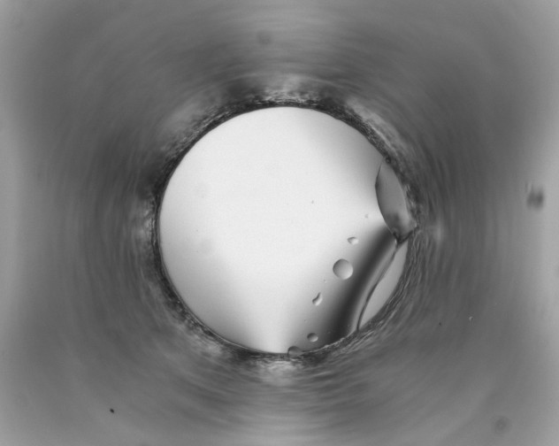 X0000089970513200707202013