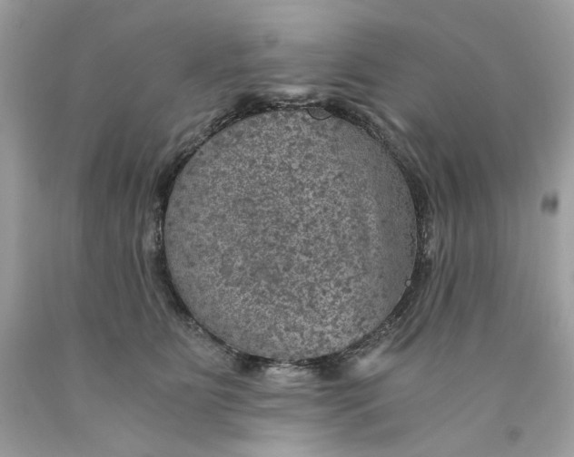 X0000089970515200707202013