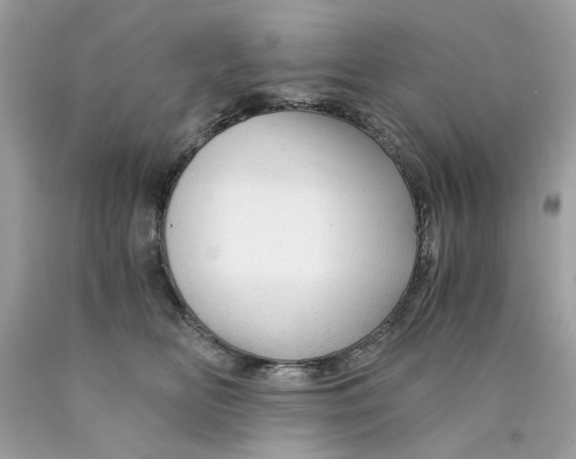 X0000089970518200707202013