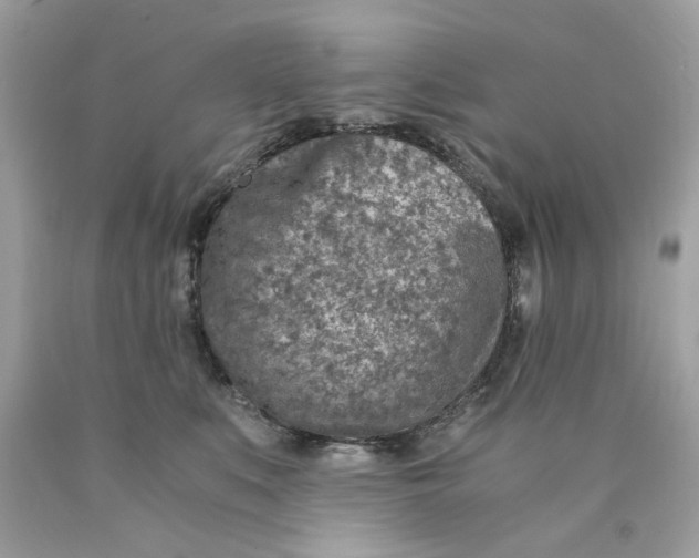 X0000089970519200707202013