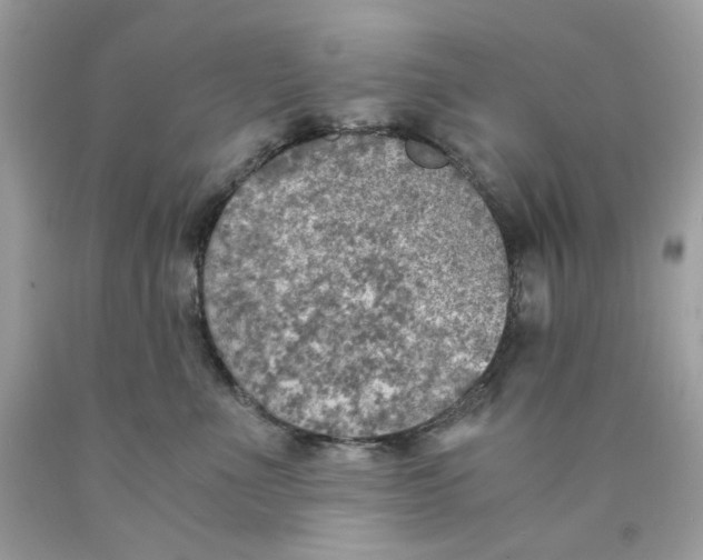 X0000089970523200707202013