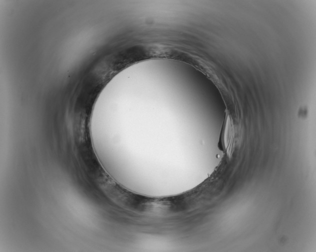 X0000089970525200707202013