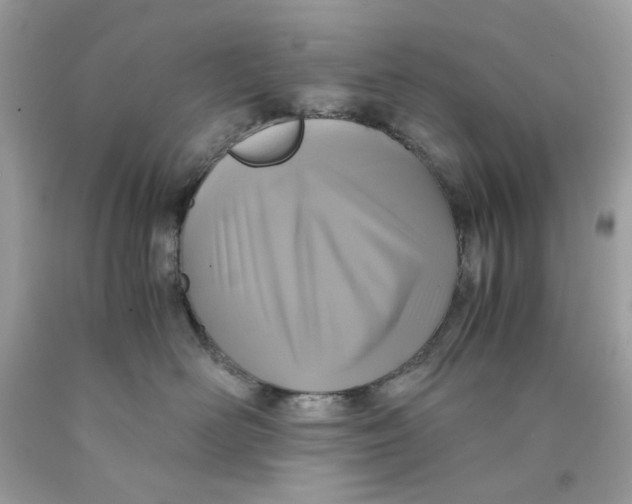 X0000089970526200707202013