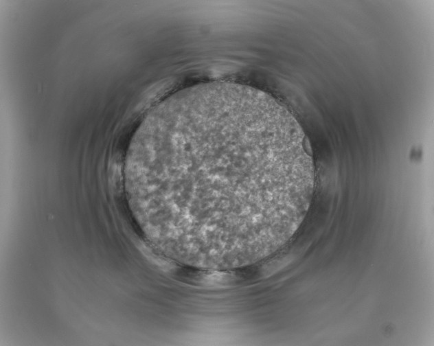 X0000089970527200707202013