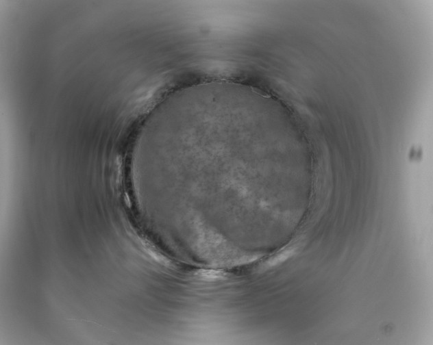 X0000089970528200707202013