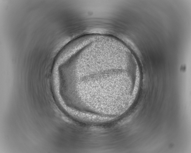 X0000089970529200707202013