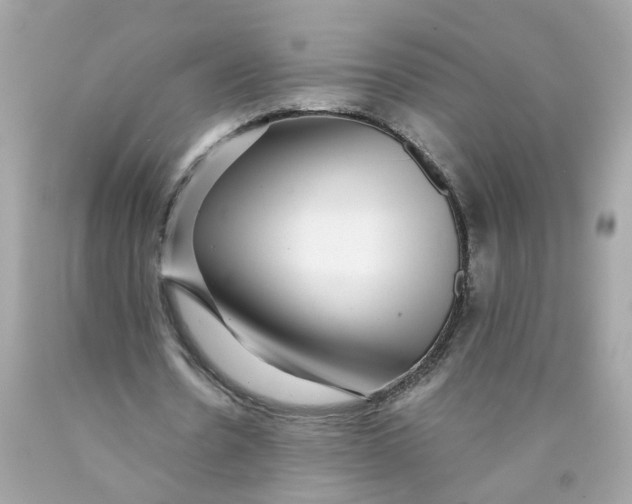 X0000089970530200707202013