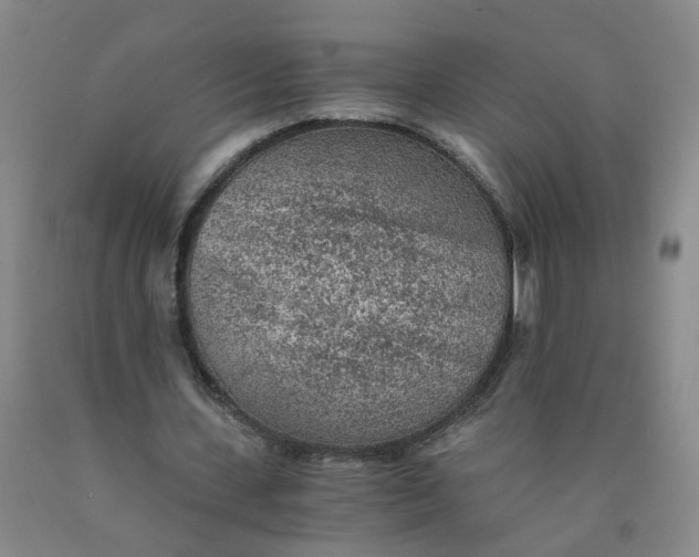 X0000089970531200707202013