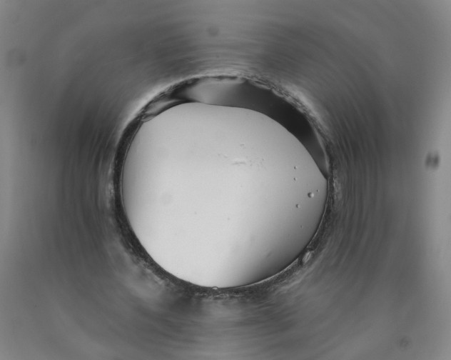 X0000089970532200707202013