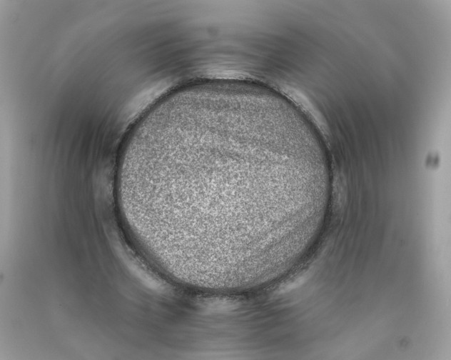 X0000089970533200707202013