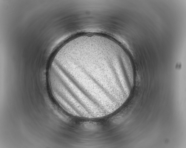 X0000089970535200707202013