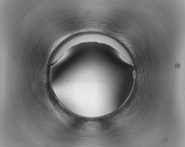 X0000089970536200707202013