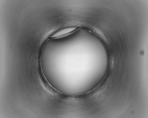 X0000089970538200707202013