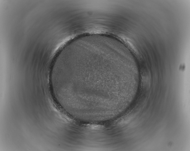 X0000089970539200707202013