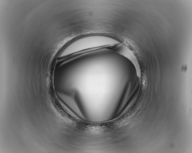 X0000089970540200707202013