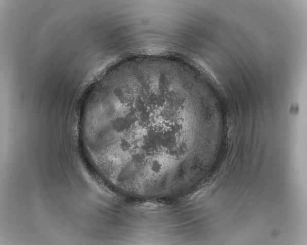 X0000089970542200707202013