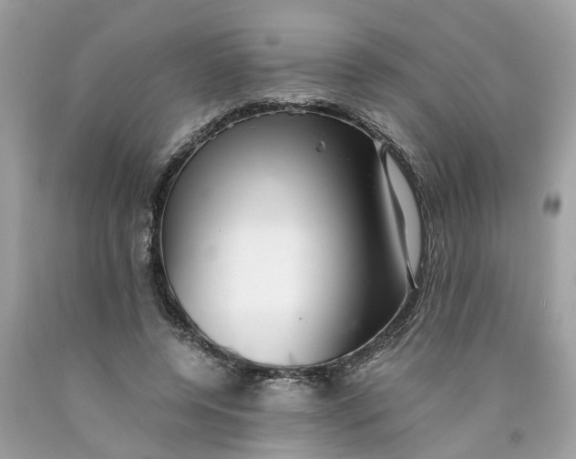 X0000089970544200707202013