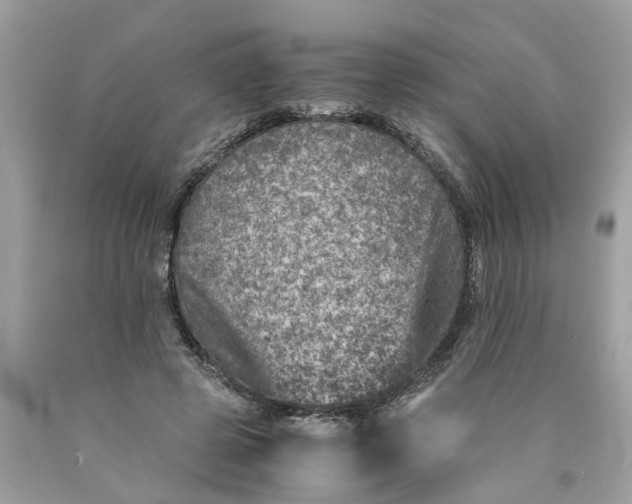 X0000089970545200707202013