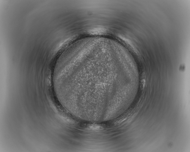 X0000089970547200707202013