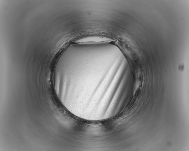 X0000089970548200707202013