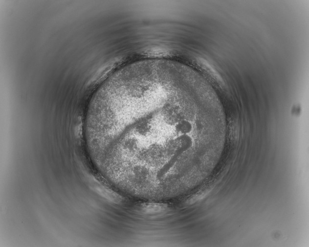 X0000089970549200707202013