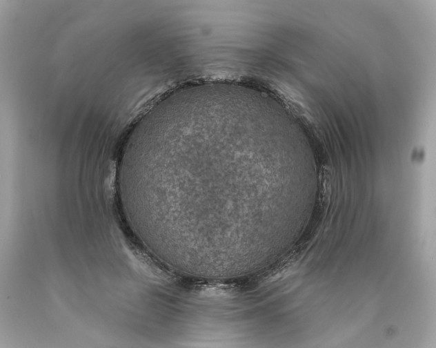 X0000089970550200707202013