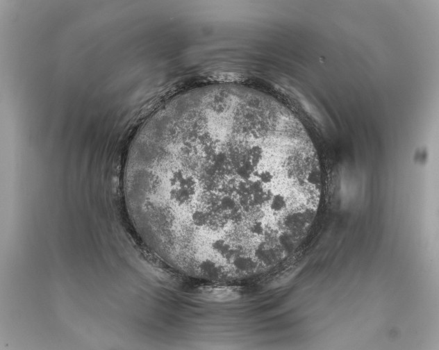 X0000089970553200707202013