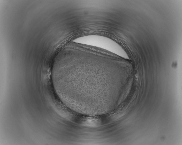 X0000089970555200707202013