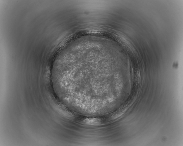 X0000089970557200707202013